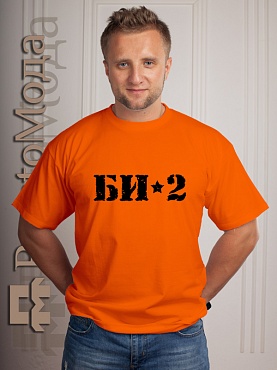 Футболка БИ-2