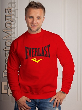 Кофта Everlast