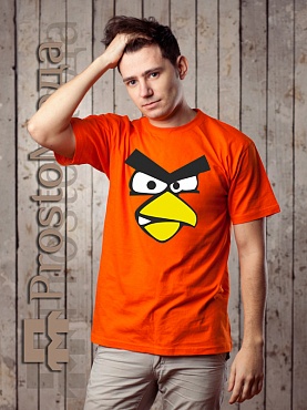 Футболка Red Bird