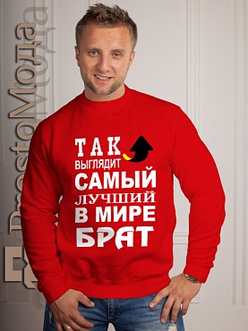 Кофта Так выглядит лучший в мире брат