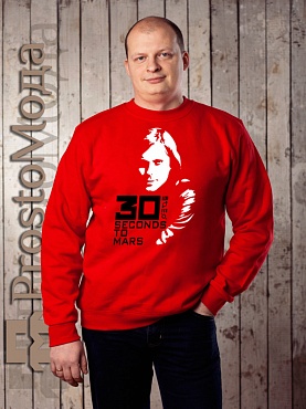 Свитшот 30 Seconds to Mars (силуэт)