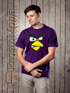 Футболка Red Bird