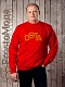 Кофта Dota PRO