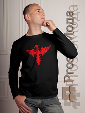 Футболка с длинным рукавом 30 Seconds to Mars (феникс)